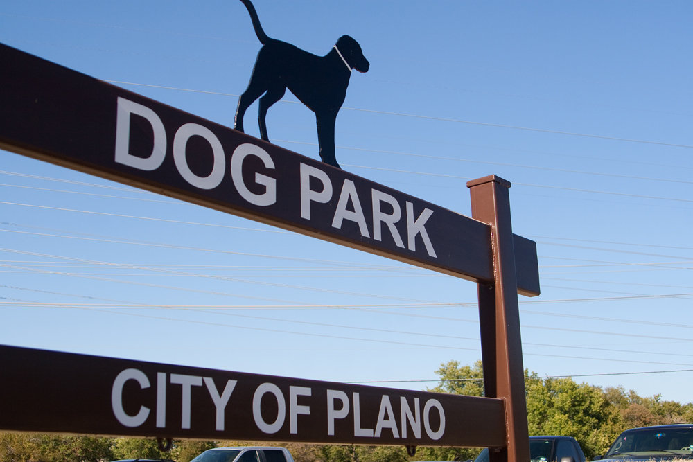 plano-dog-park-at-jack-carter-park-dallas-parks