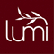 Lumi Kitchen