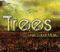 Trees Live Music in Dallas TX