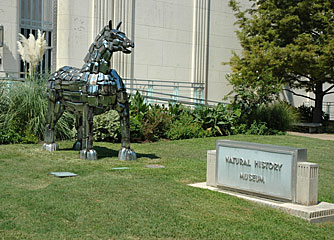 Dallas Museum of Natural History