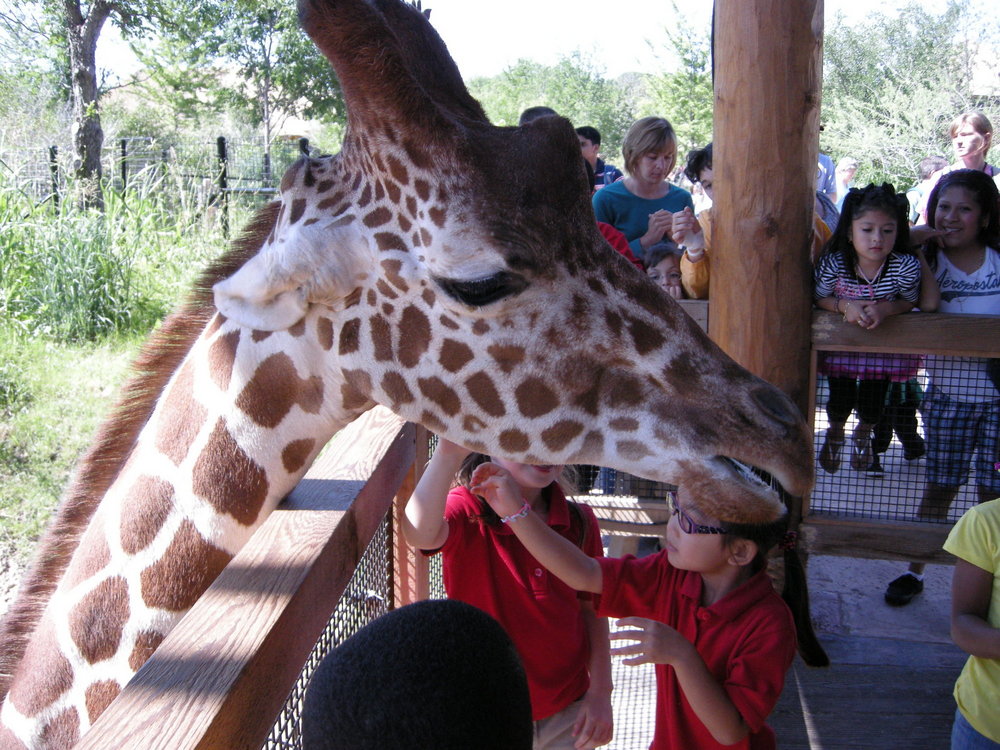 Dallas Zoo - Dallas Attractions