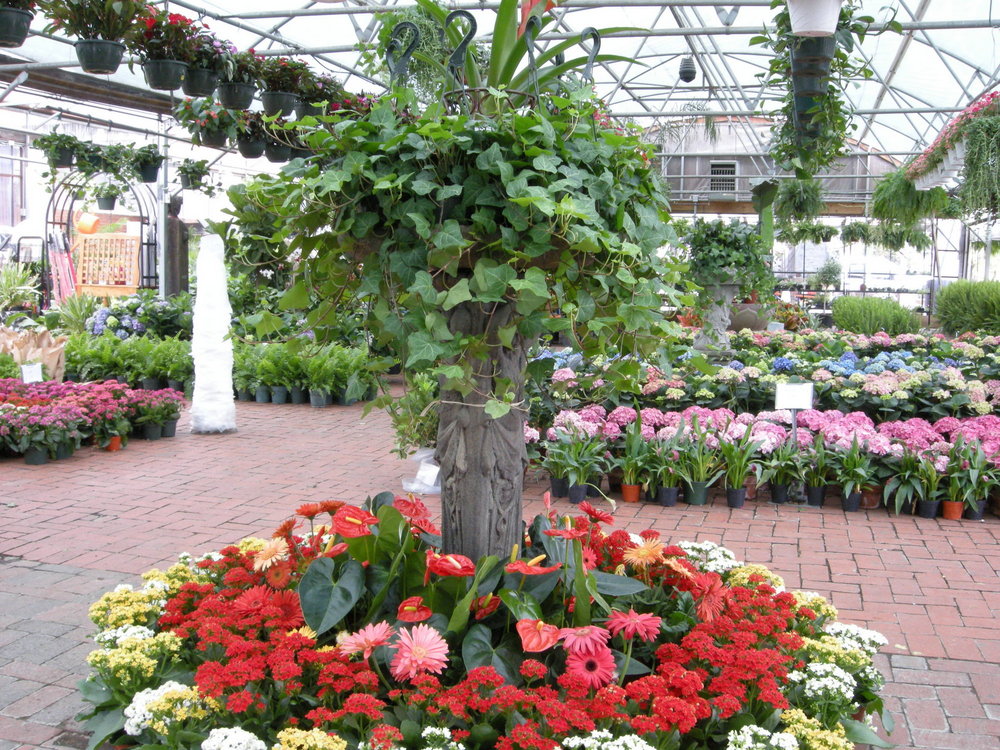 Ruibal's Plants of Texas Pearl Street Dallas Lawn & Garden