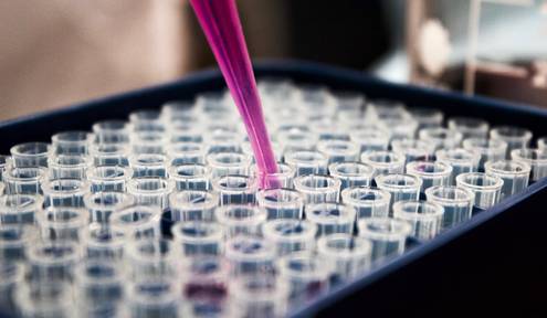 How To Help Scientists Become More Efficient At Lab Work How To Help Scientists Become More Efficient At Lab Work