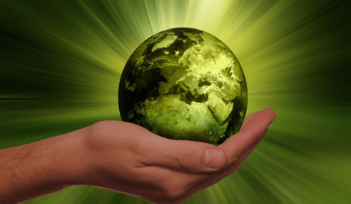 The Green Alternative: Materials That Are Changing the Sustainability Game The Green Alternative: Materials That Are Changing the Sustainability Game