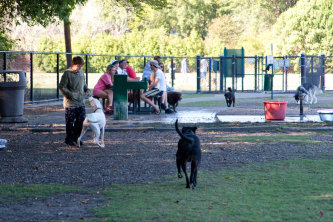 Plano Dog Park at Jack Carter Park
