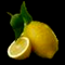 Lemon Bar In Uptown Dallas Logo