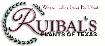 Ruibal's Plants of Texas Pearl Street Logo