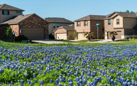 How to Choose the Right Insulation for Your New Texas Home