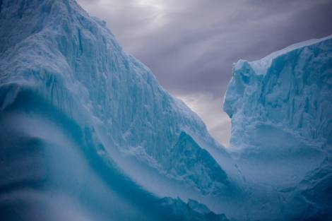 Discovering the Frozen Beauty of the Antarctic Peninsula