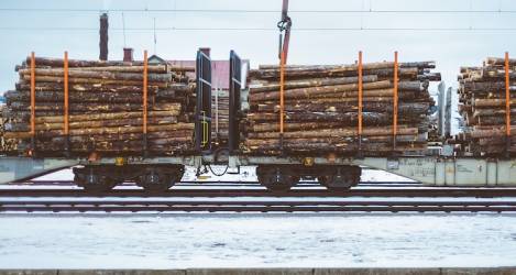How Timber Industry Sustainability Drives Industrial Excellence