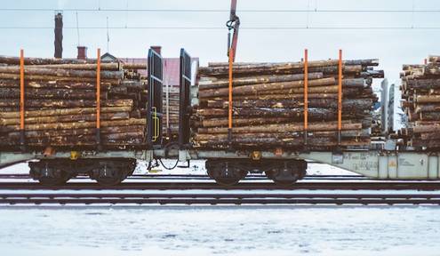 How Timber Industry Sustainability Drives Industrial Excellence