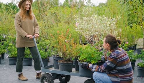 6 Practical Steps That'll Help You Grow Your Landscaping Business and Thrive
