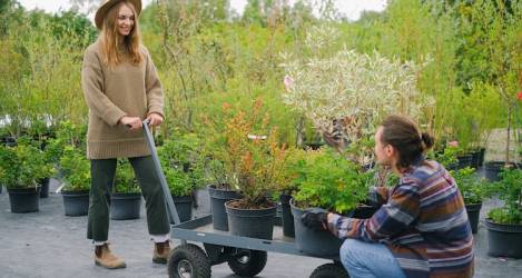 6 Practical Steps That'll Help You Grow Your Landscaping Business and Thrive